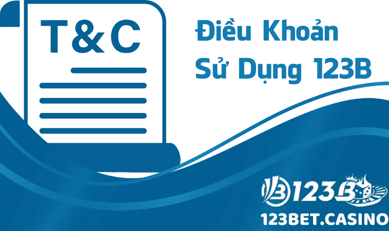 Điều khoản sử dụng 123B